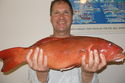Coral Trout